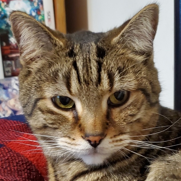 dorisgaspar
